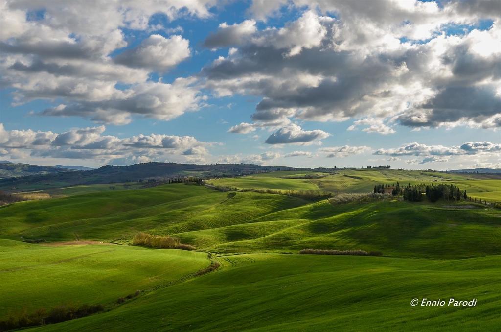 Agriturismo Bonello Pienza Exterior foto